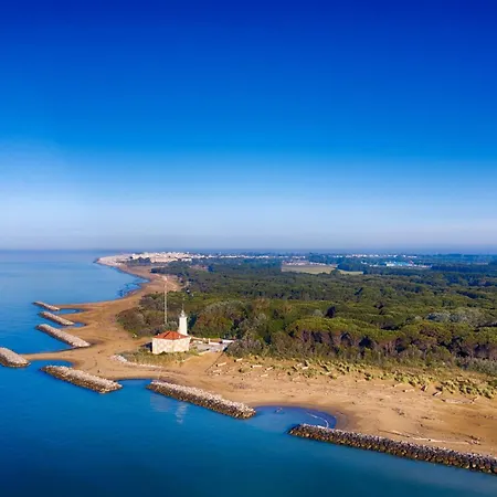 Near Shops And Daire *